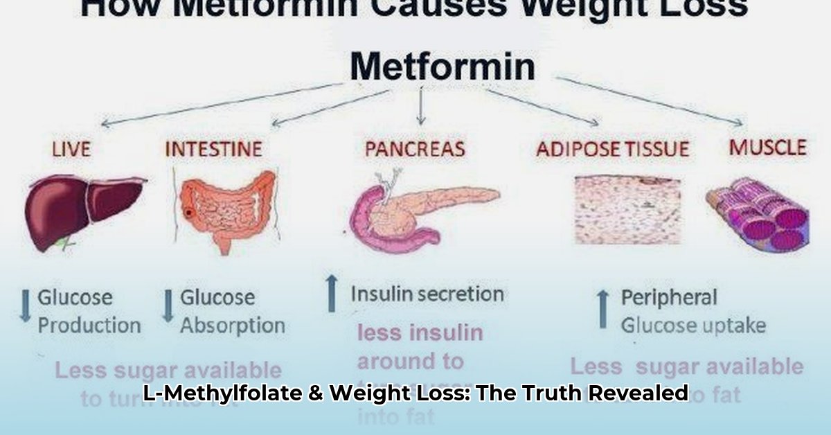 does-l-methylfolate-help-with-weight-loss